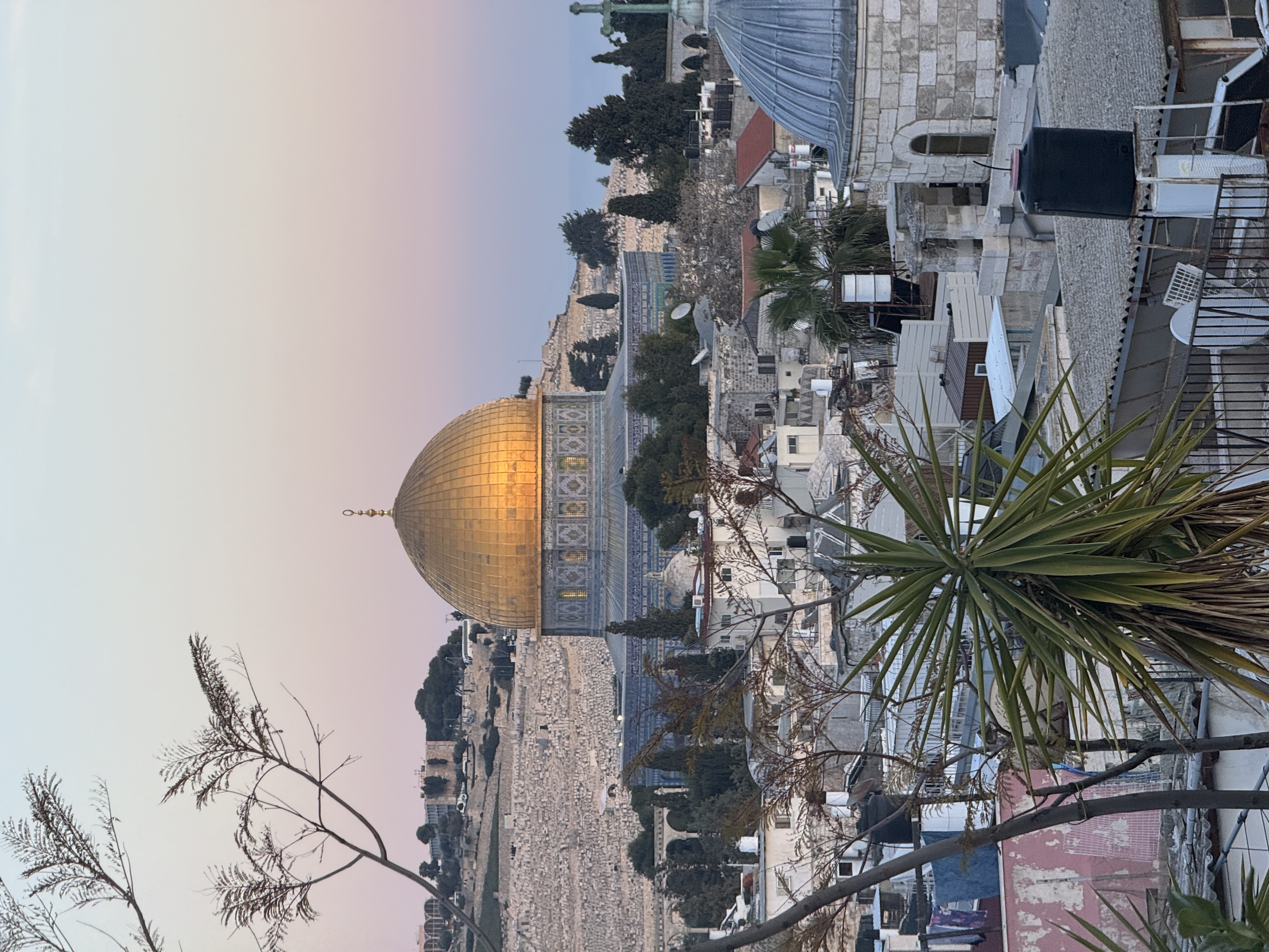 Palestine, Gaza Emergency Appeal