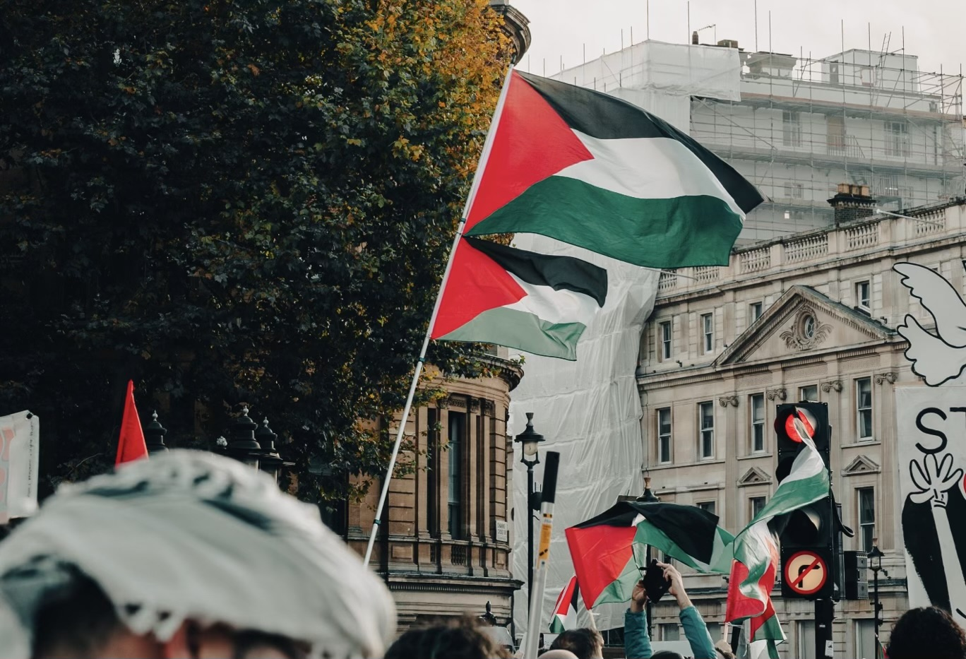 Summer Walk for Palestine ?