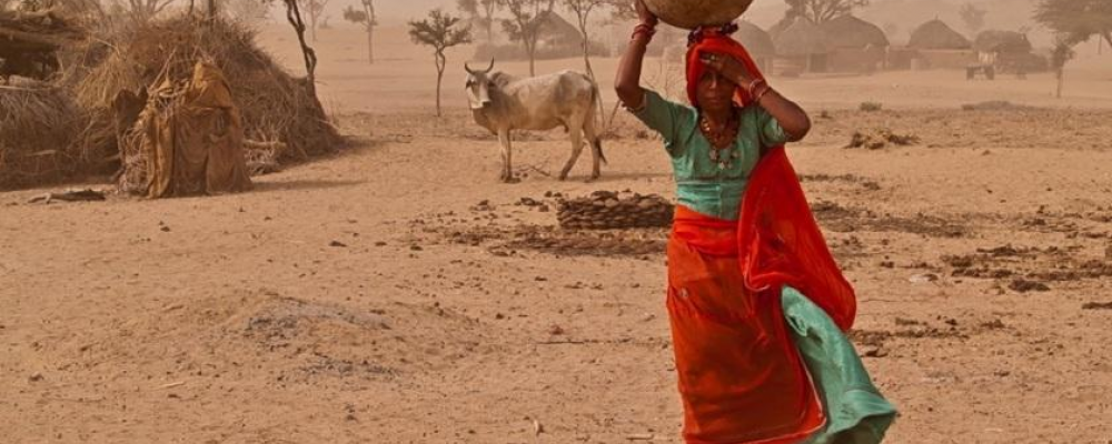 Pakistan Food Project