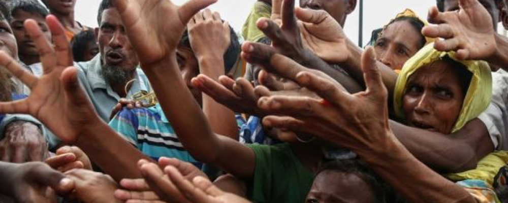 Rohingya Emergency Appeal