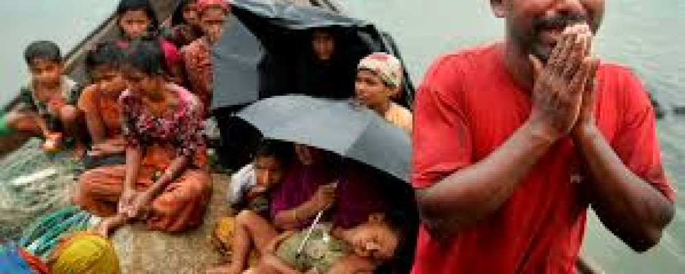 Rohingya