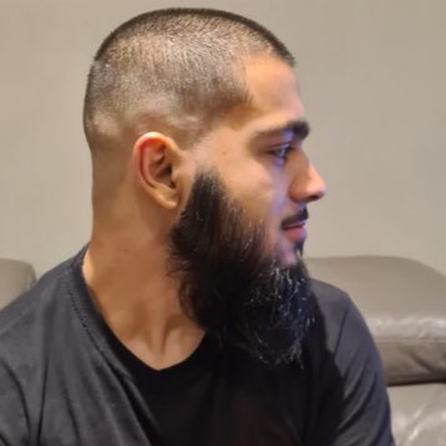 Olive Tree
